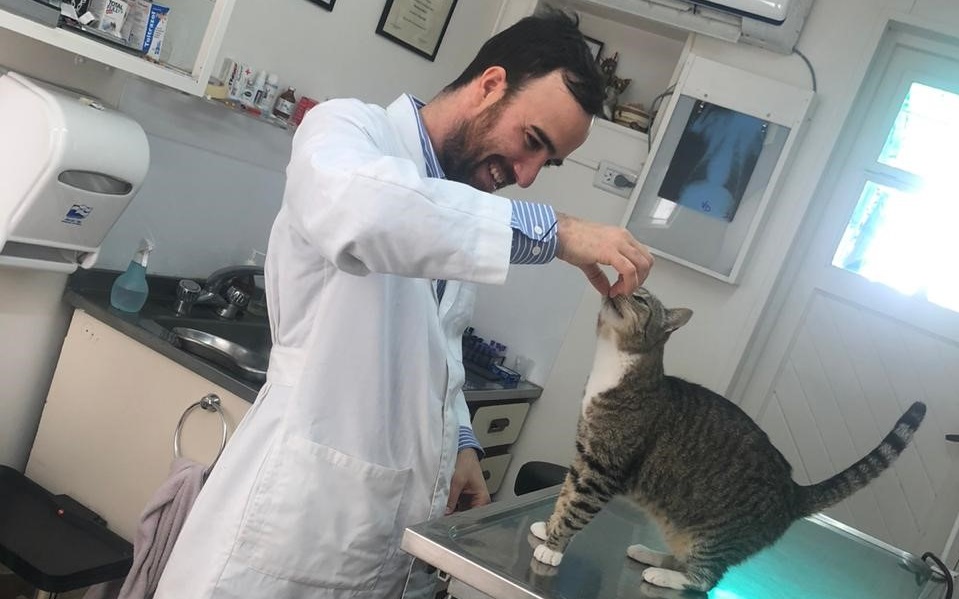 Vet with cat