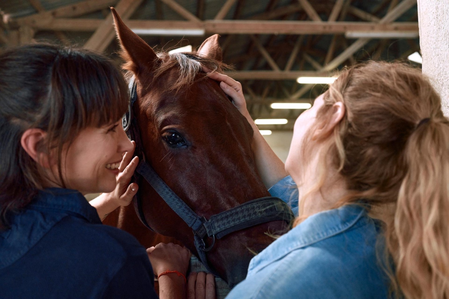 Two female horse riders with chestnut horse