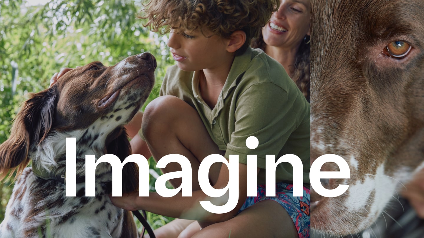 A boy, his dog and his mother enjoying a day in beautiful nature