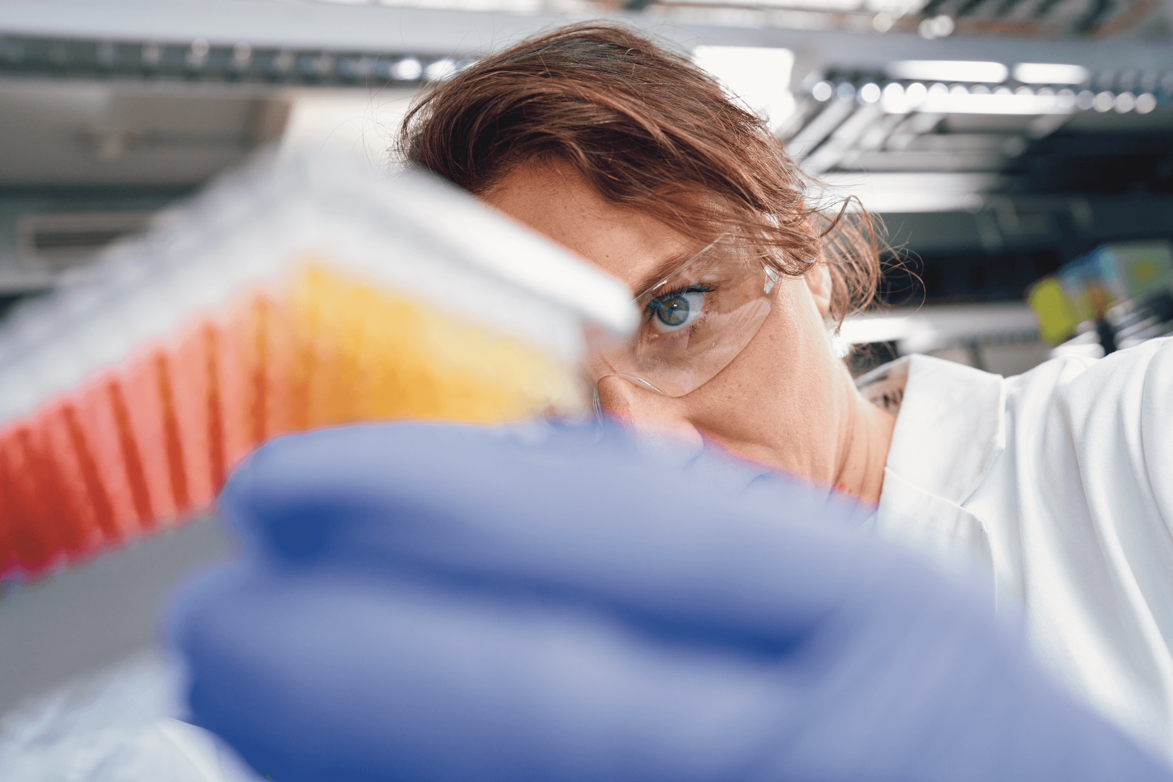 scientist looking at test tubes