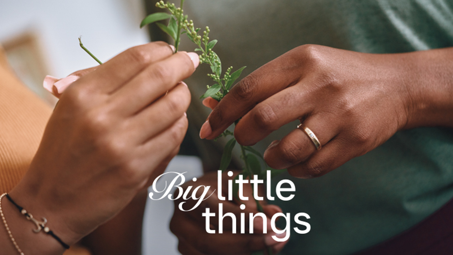 Image of two hands holding plants with the caption "Big Little Things"