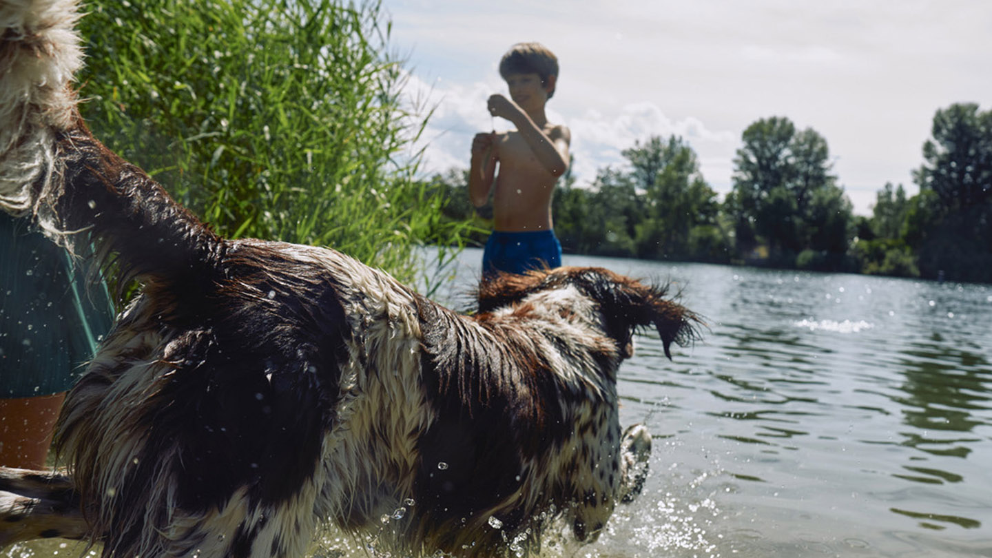 Excursion with a dog and kids by the sea