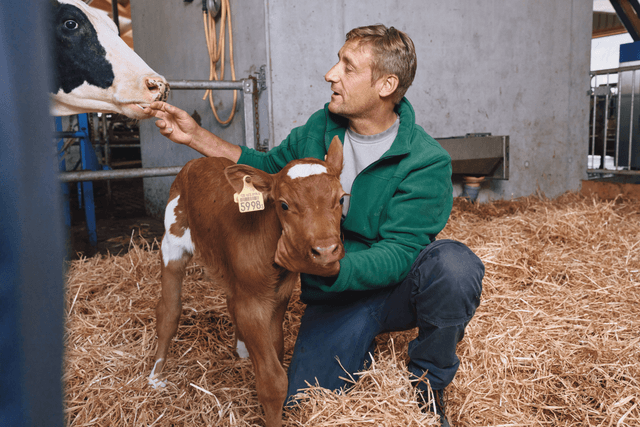 Professionnel de santé animale