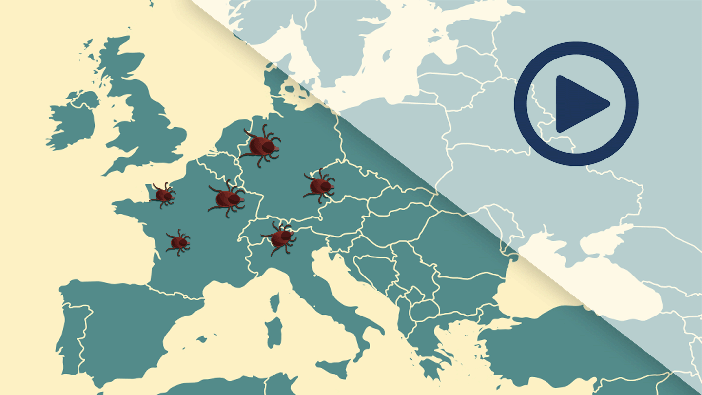 Krankheiten im geografischen Wandel