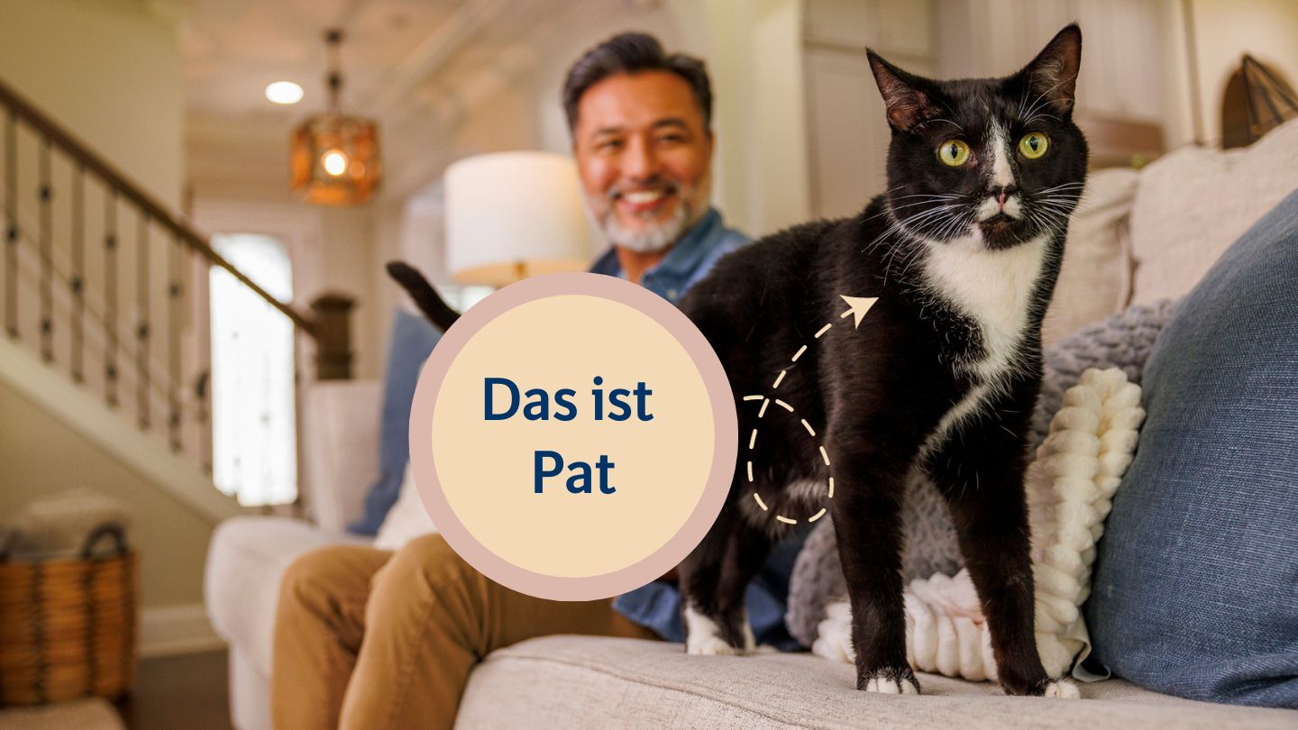 Das ist die Katze Pat